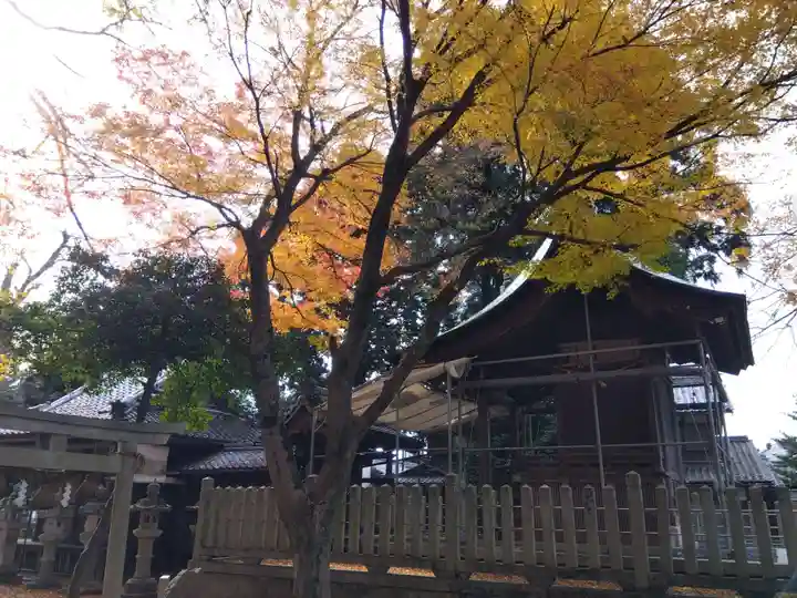 八幡神社(滋賀県)