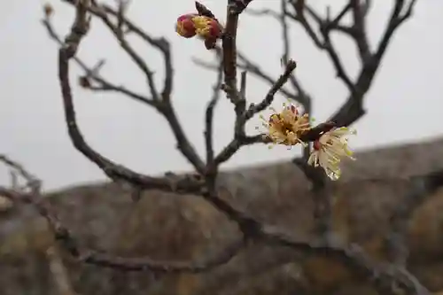菅原天満宮（菅原神社）のその他建物