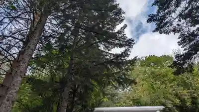 温根湯神社の自然