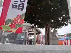 新川皇大神社の初詣