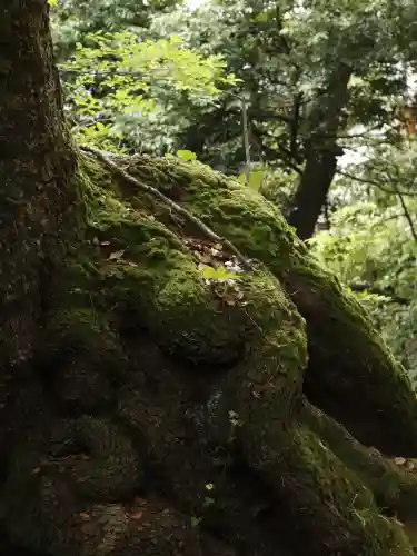 來宮神社(静岡県)