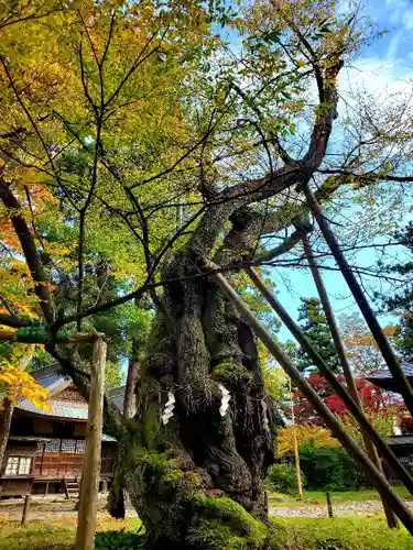 蠶養國神社の自然