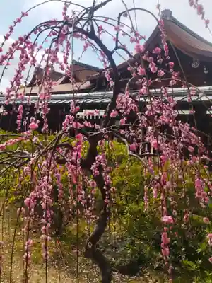 城南宮(京都府)