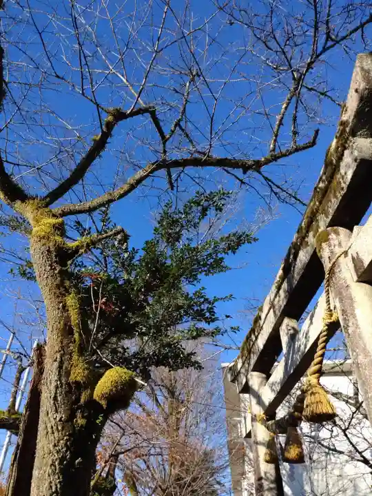 天鷹神社(岐阜県)