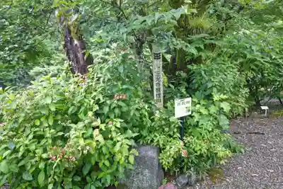 三光寺(岐阜県)