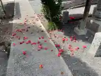 満願寺(栃木県)