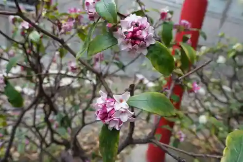 生國魂神社御旅所の自然