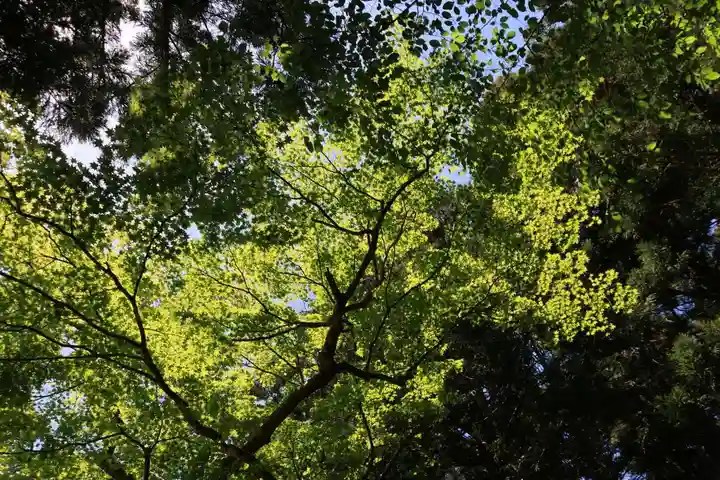 稲荷神社の自然