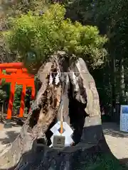 常磐神社(茨城県)