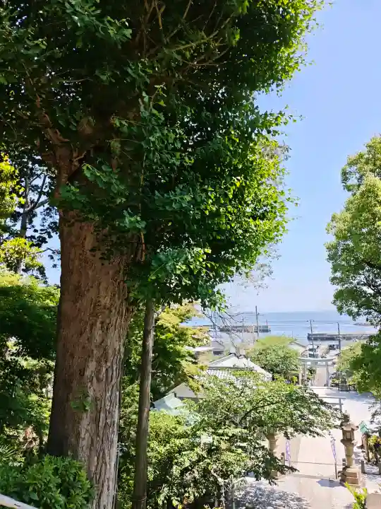 走水神社の{uncategorized: "未分類", other: "その他", undefined: "問題あり", building: "その他建物", grave: "お墓", sacred_gate: "鳥居", guardian: "狛犬", statue: "像", buddha: "仏像", history: "歴史", nature: "自然", garden: "庭園", animal: "動物", pagoda: "塔", temizu: "手水舎", mountain_gate: "山門・神門", sanctuary: "本殿・本堂", subordinate: "末社・摂社", art: "芸術", scenery: "景色", jizo: "地蔵", ema: "絵馬", goshuin: "御朱印", omikuji: "おみくじ", items: "授与品その他", amulet: "お守り", goshuincho: "御朱印帳", eats: "食事", festival: "お祭り", votive_dance: "神楽", shichigosan: "七五三参", wedding: "結婚式", experience: "体験その他", initially: "初詣", around: "周辺", anti_infection: "感染症対策"}
