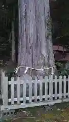 大中神社の自然