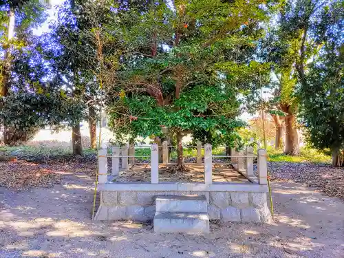 野寺八幡社の自然
