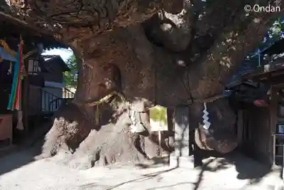 三島神社(大阪府)
