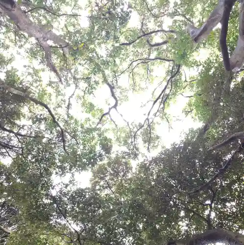 大宮神社の自然