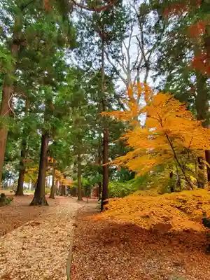神炊館神社 ⁂奥州須賀川総鎮守⁂(福島県)