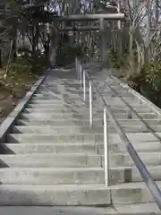 白根神社の建物その他