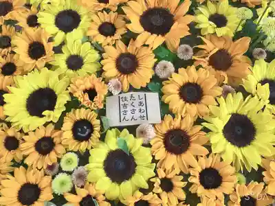 住吉神社の手水舎