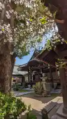 本教寺(京都府)