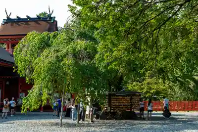 富士山本宮浅間大社(静岡県)