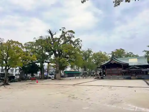 佐賀縣護國神社(佐賀県)