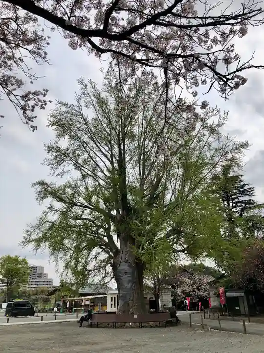 時宗総本山 遊行寺(正式:清浄光寺)(神奈川県)