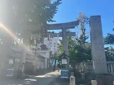 今戸神社の鳥居