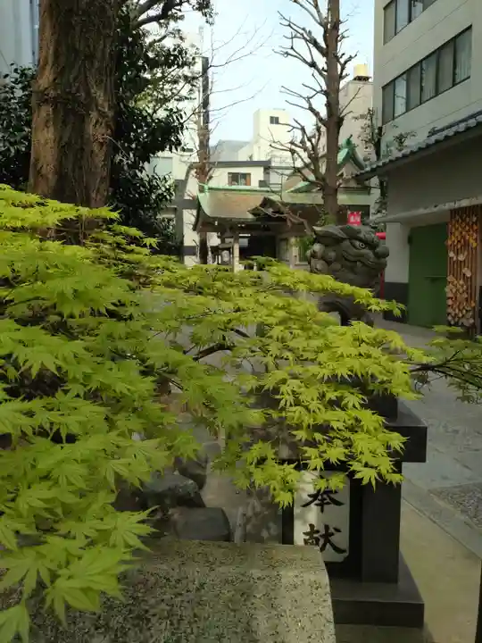 銀杏岡八幡神社(東京都)