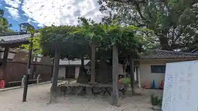 藤森神社(京都府)