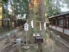 一言主神社(茨城県)