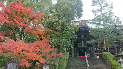 岩殿山安楽寺（吉見観音）の本殿・本堂