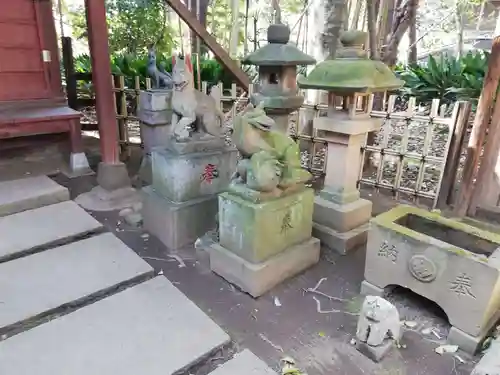 渋谷氷川神社の狛犬