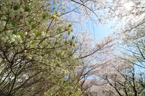 弘法山　大師堂(神奈川県)