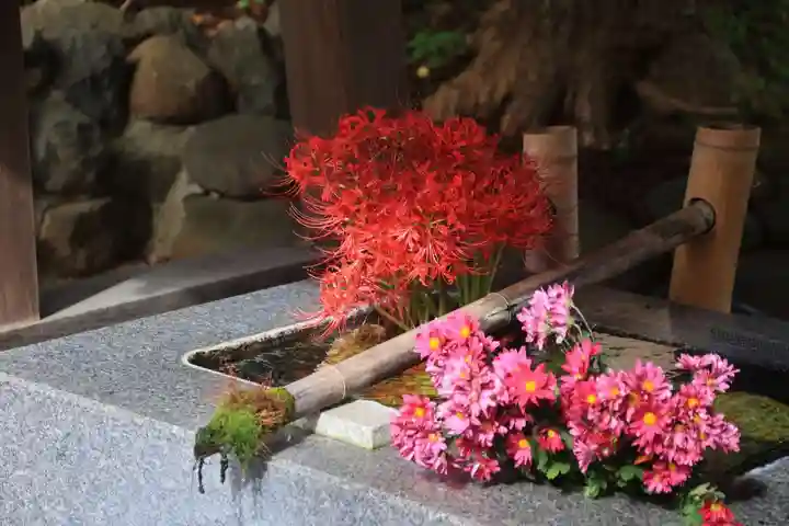 高司神社〜むすびの神の鎮まる社〜の手水舎