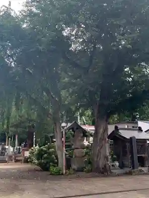 法音寺(山形県)