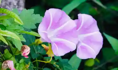 耕田院(山形県)