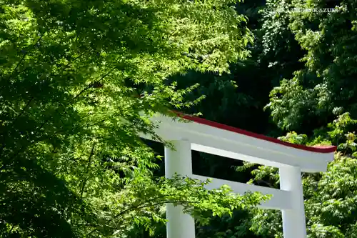 鎌倉宮の鳥居