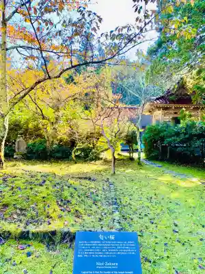 総光寺(山形県)