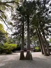 雄山神社前立社壇(富山県)