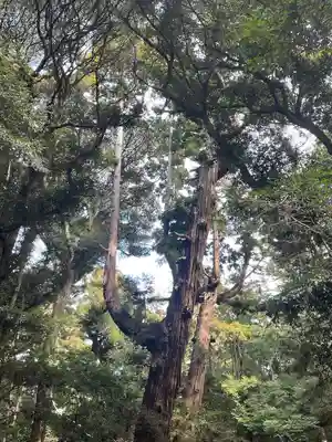鹿島神宮(茨城県)