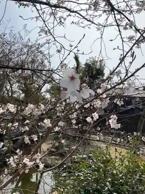 欣浄寺(京都府)