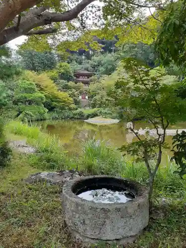 浄瑠璃寺(京都府)