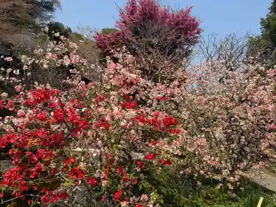 長谷寺の{uncategorized: "未分類", other: "その他", undefined: "問題あり", building: "その他建物", grave: "お墓", sacred_gate: "鳥居", guardian: "狛犬", statue: "像", buddha: "仏像", history: "歴史", nature: "自然", garden: "庭園", animal: "動物", pagoda: "塔", temizu: "手水舎", mountain_gate: "山門・神門", sanctuary: "本殿・本堂", subordinate: "末社・摂社", art: "芸術", scenery: "景色", jizo: "地蔵", ema: "絵馬", goshuin: "御朱印", omikuji: "おみくじ", items: "授与品その他", amulet: "お守り", goshuincho: "御朱印帳", eats: "食事", festival: "お祭り", votive_dance: "神楽", shichigosan: "七五三参", wedding: "結婚式", experience: "体験その他", initially: "初詣", around: "周辺", anti_infection: "感染症対策"}