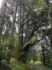 幣立神宮(熊本県)