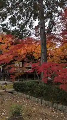 真正極楽寺(真如堂)(京都府)