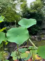 伊勢の国 四天王寺(三重県)