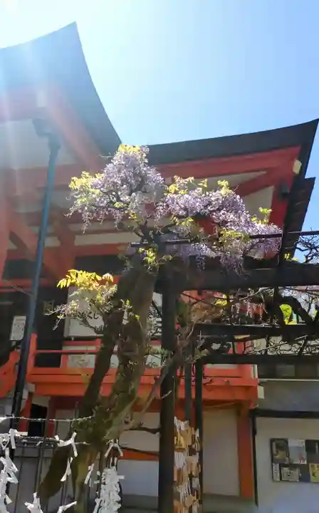 善國寺(東京都)