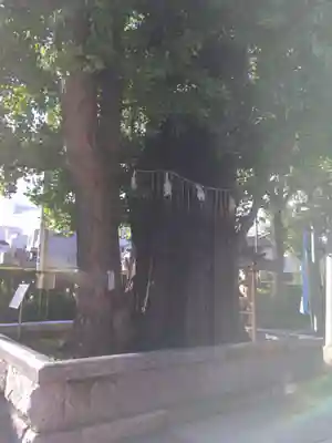 飛木稲荷神社(東京都)