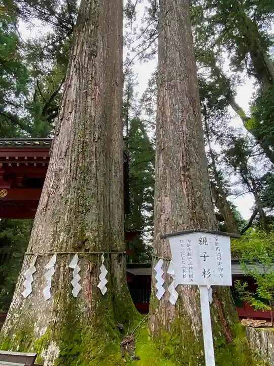 日光二荒山神社の自然