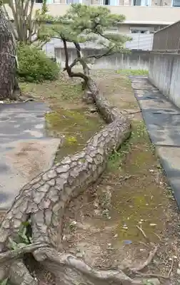 西小松川天祖神社(東京都)