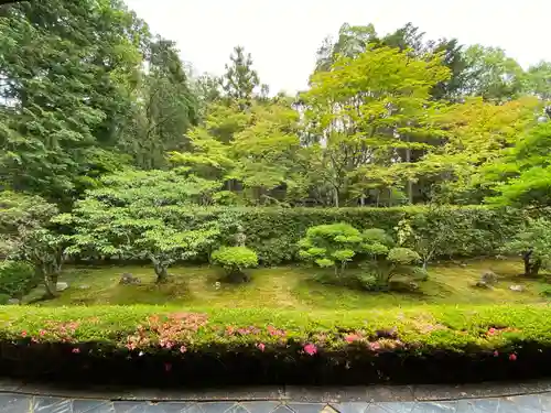 桂春院の庭園